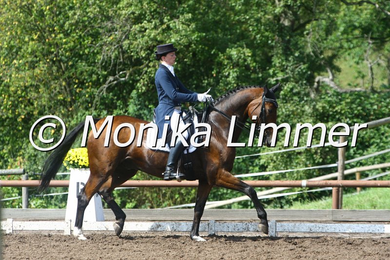 109M4314_Syriolan_Dressur Sxx.JPG